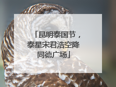 昆明泰国节，泰星宋君浩空降同德广场