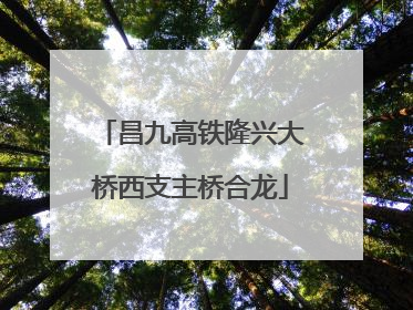 昌九高铁隆兴大桥西支主桥合龙