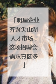 明星企业齐聚尖山湖人才市场，这场招聘会需求真挺多