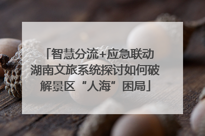 智慧分流+应急联动 湖南文旅系统探讨如何破解景区“人海”困局