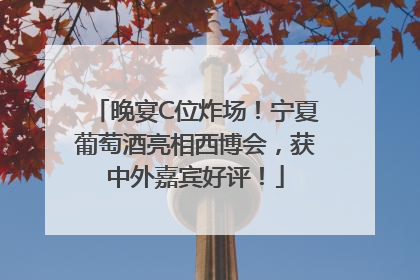 晚宴C位炸场！宁夏葡萄酒亮相西博会，获中外嘉宾好评！