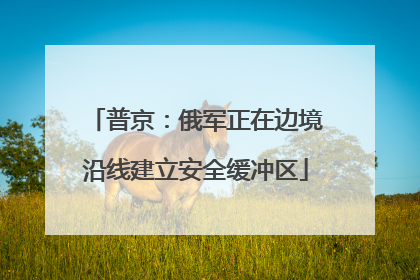 普京：俄军正在边境沿线建立安全缓冲区