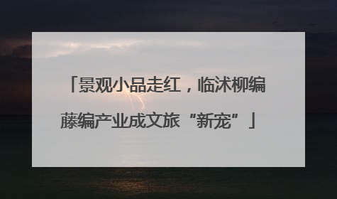 景观小品走红，临沭柳编藤编产业成文旅“新宠”