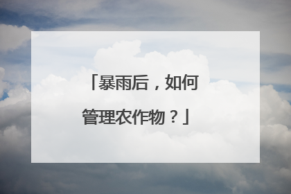 暴雨后，如何管理农作物？