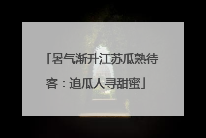 暑气渐升江苏瓜熟待客：追瓜人寻甜蜜