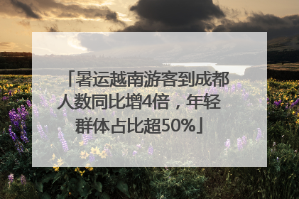 暑运越南游客到成都人数同比增4倍，年轻群体占比超50%