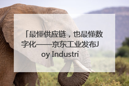 最懂供应链，也最懂数字化——京东工业发布Joy Industrial 重塑工业未来
