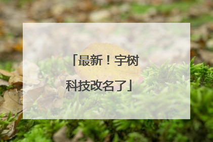 最新！宇树科技改名了