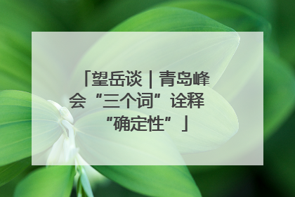 望岳谈｜青岛峰会“三个词”诠释“确定性”