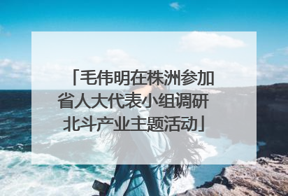 毛伟明在株洲参加省人大代表小组调研北斗产业主题活动
