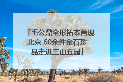 毛公鼎全形拓本首现北京 60余件金石珍品走进三山五园