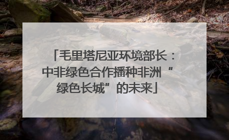 毛里塔尼亚环境部长：中非绿色合作播种非洲“绿色长城”的未来