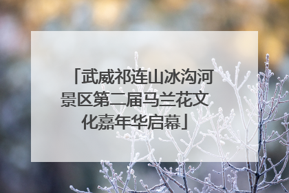 武威祁连山冰沟河景区第二届马兰花文化嘉年华启幕
