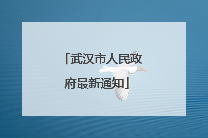 武汉市人民政府最新通知