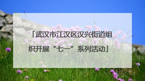 武汉市江汉区汉兴街道组织开展“七一”系列活动