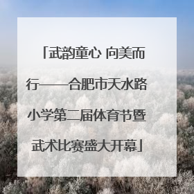 武韵童心 向美而行——合肥市天水路小学第二届体育节暨武术比赛盛大开幕