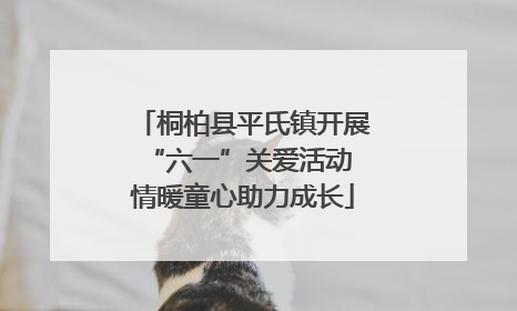 桐柏县平氏镇开展“六一”关爱活动 情暖童心助力成长