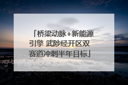 桥梁动脉+新能源引擎 武陟经开区双赛道冲刺半年目标