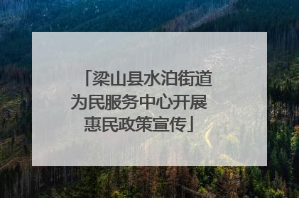 梁山县水泊街道为民服务中心开展惠民政策宣传
