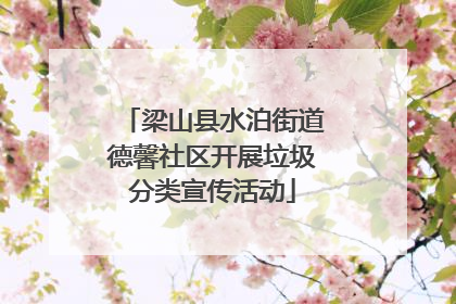 梁山县水泊街道德馨社区开展垃圾分类宣传活动