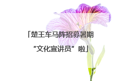 楚王车马阵招募暑期“文化宣讲员”啦