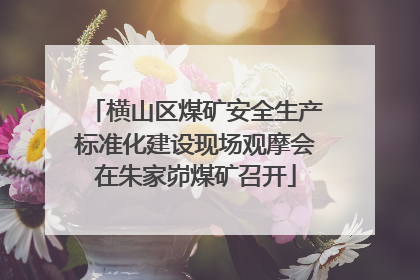 横山区煤矿安全生产标准化建设现场观摩会在朱家峁煤矿召开