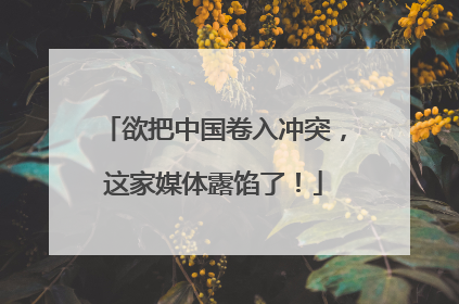 欲把中国卷入冲突，这家媒体露馅了！