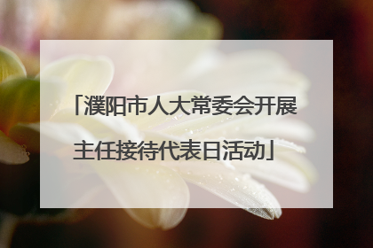 濮阳市人大常委会开展主任接待代表日活动