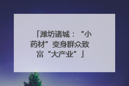 潍坊诸城：“小药材”变身群众致富“大产业”
