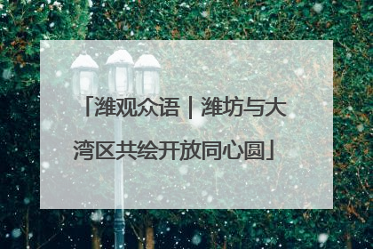 潍观众语｜潍坊与大湾区共绘开放同心圆