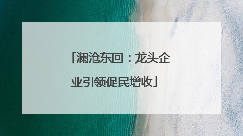 澜沧东回：龙头企业引领促民增收