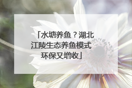 水塘养鱼？湖北江陵生态养鱼模式环保又增收
