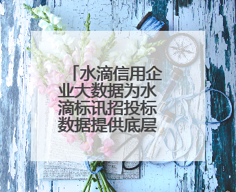 水滴信用企业大数据为水滴标讯招投标数据提供底层数据支持开展多类型服务