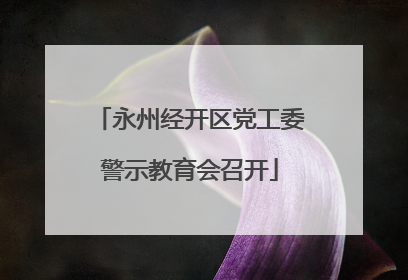 永州经开区党工委警示教育会召开