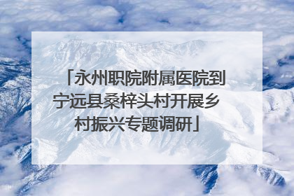 永州职院附属医院到宁远县桑梓头村开展乡村振兴专题调研