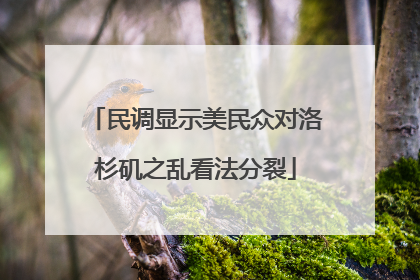 民调显示美民众对洛杉矶之乱看法分裂