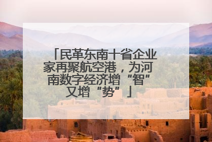 民革东南十省企业家再聚航空港，为河南数字经济增“智”又增“势”