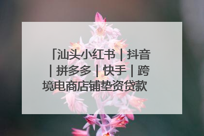 汕头小红书｜抖音｜拼多多｜快手｜跨境电商店铺垫资贷款企业-漫商易