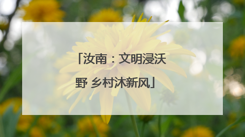 汝南：文明浸沃野 乡村沐新风