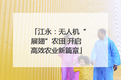 江永：无人机“展翅”农田 开启高效农业新篇章