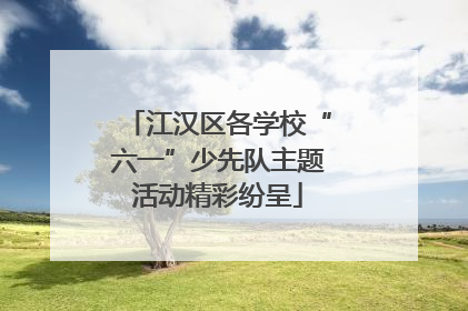 江汉区各学校“六一”少先队主题活动精彩纷呈