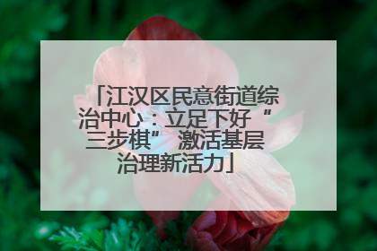 江汉区民意街道综治中心：立足下好“三步棋” 激活基层治理新活力