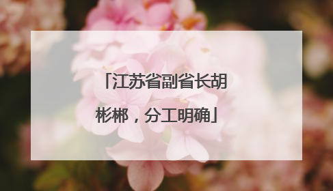 江苏省副省长胡彬郴，分工明确