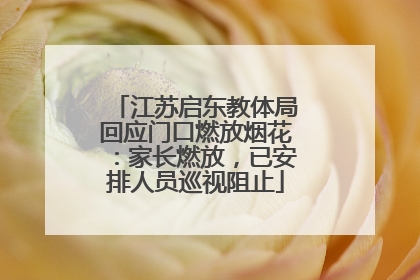 江苏启东教体局回应门口燃放烟花：家长燃放，已安排人员巡视阻止