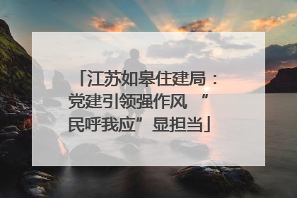 江苏如皋住建局：党建引领强作风 “民呼我应”显担当