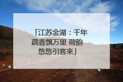 江苏金湖：千年藕香飘万里 荷韵悠悠引客来