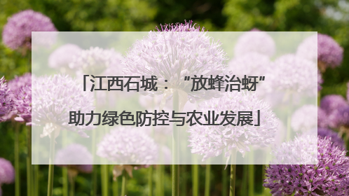 江西石城：“放蜂治蚜”助力绿色防控与农业发展
