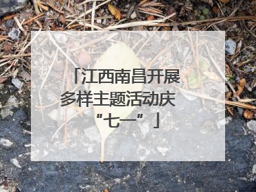 江西南昌开展多样主题活动庆“七一”