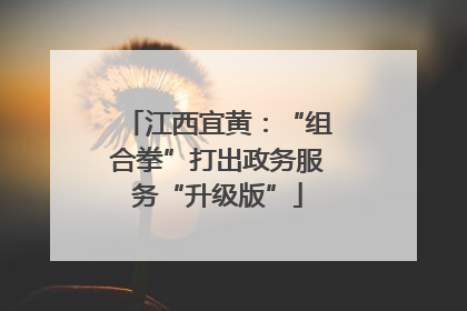江西宜黄：“组合拳”打出政务服务“升级版”