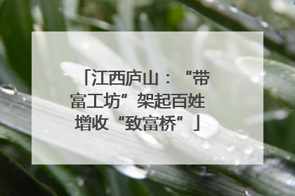 江西庐山：“带富工坊”架起百姓增收“致富桥”